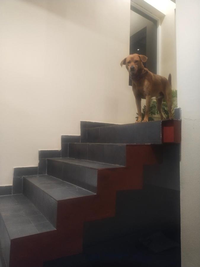 Two Bedroom House Madikeri Kültér fotó